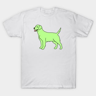 Key Lime Green Dog T-Shirt